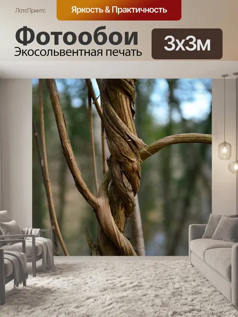 Фотообои Лиана