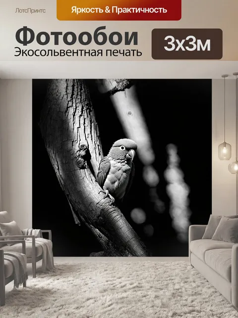 Фотообои яркий карликовый попугай