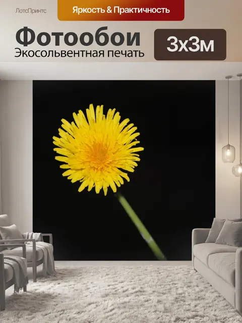 Фотообои Цветок