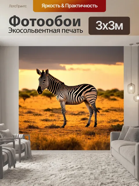 Фотообои коричневая зебра, стоящая на саванне в лучах заката, ее полосы становятся темнее на фоне темнеющего неба