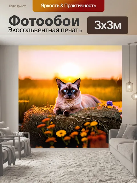 Фотообои на фоне теплого заката