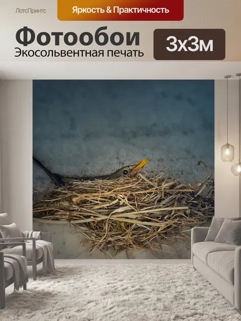 Фотообои Природа
