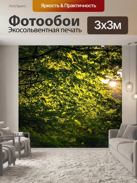 Фотообои природа для спальни, с изображением вечернего света, пробивающегося сквозь листву