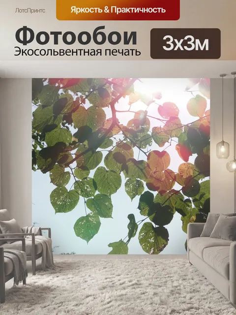 Фотообои Свет