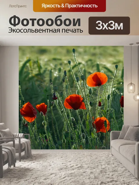 Фотообои Маков поле цветет природа