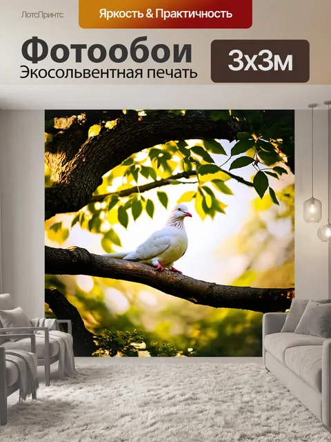 Фотообои белый голубь сидит на ветке дерева