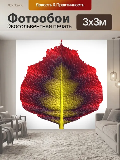 Фотообои Цветной лист