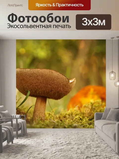Фотообои Грибы съедобные лесные