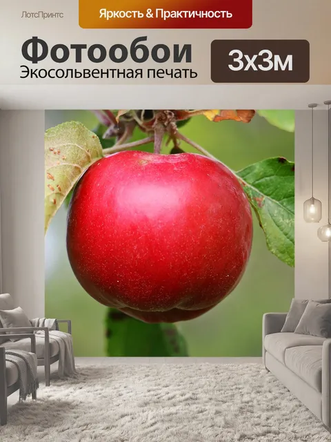 Фотообои Яблоко