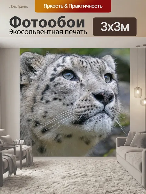 Фотообои Снежный барс