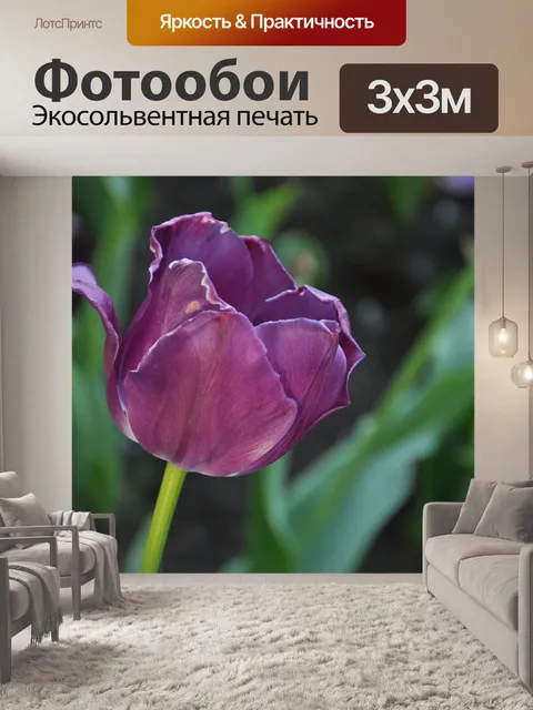 Фотообои Цветы