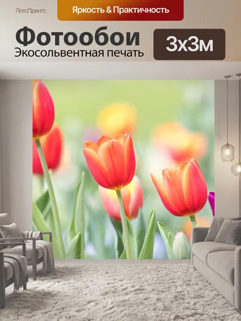 Фотообои Тюльпаны