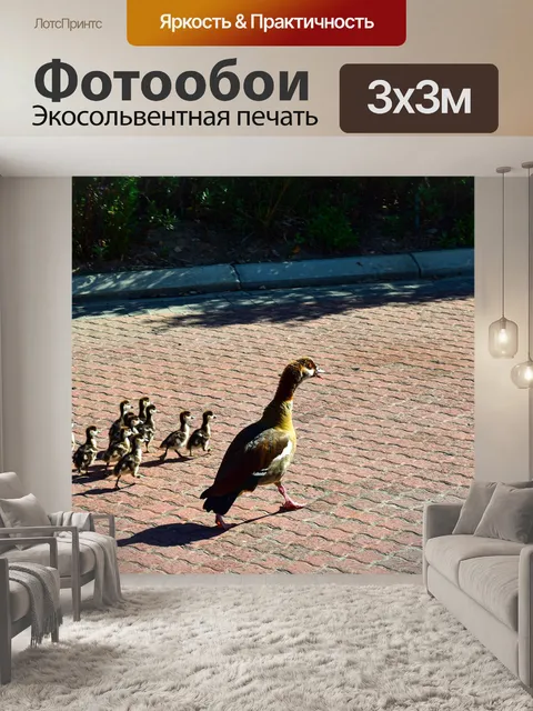 Фотообои Гуси