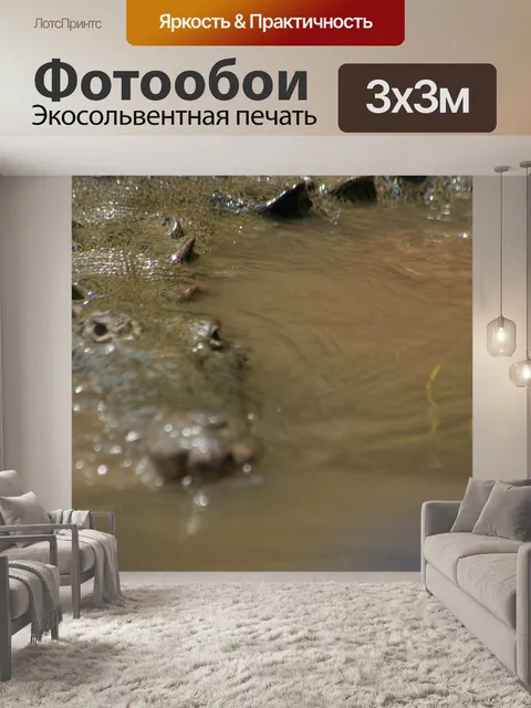 Фотообои Крокодил