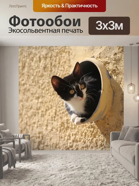 Фотообои Кот