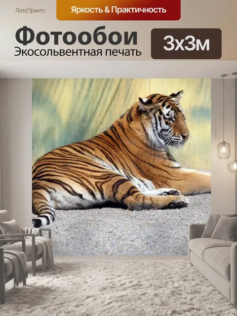 Фотообои Тигр Отдых