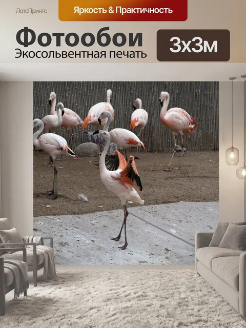 Фотообои Розовые фламинго