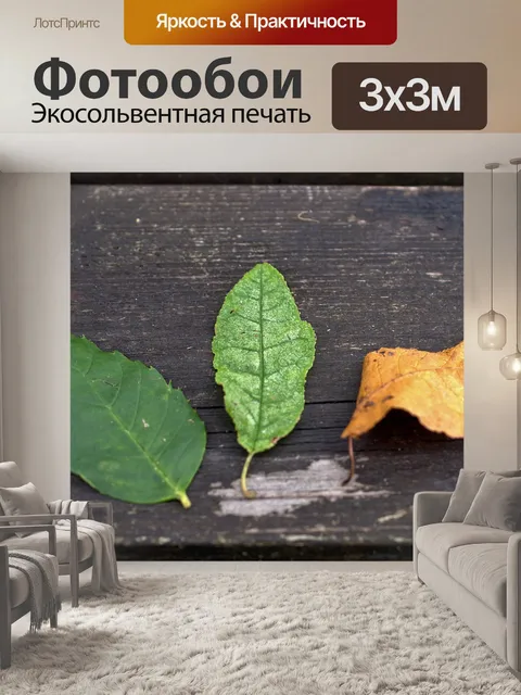 Фотообои Лист