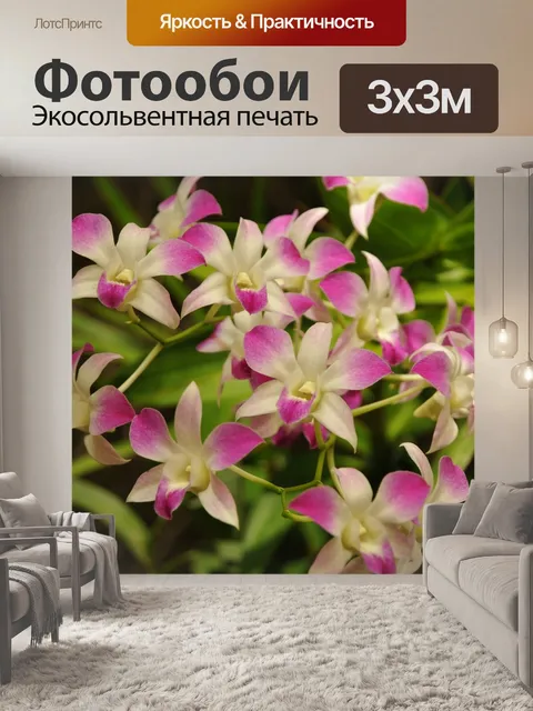 Фотообои Цветы