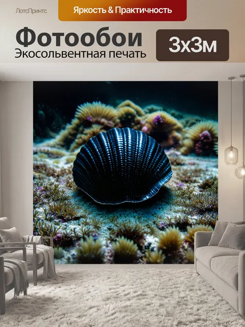 Фотообои черный с изображением черной ракушки, выполненные в технике макрофотографии