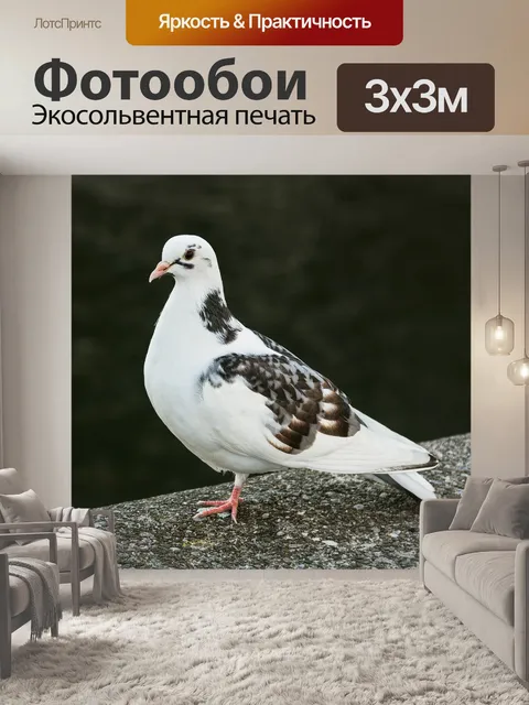 Фотообои Черное и белое