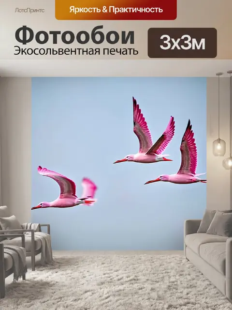 Фотообои розовые чайки, парящие высоко в воздухе, создавая симфонию движения и красоты