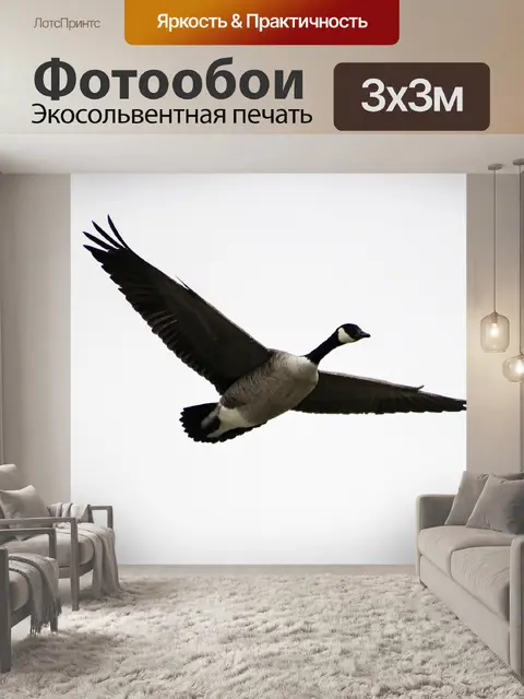 Фотообои Гуси