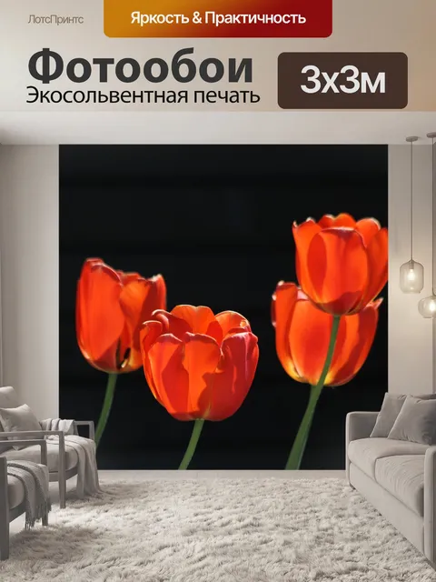 Фотообои Тюльпаны