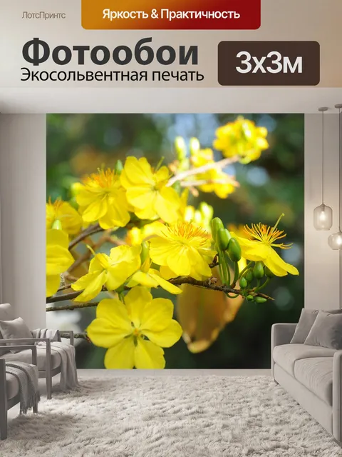 Фотообои Абрикос цветок