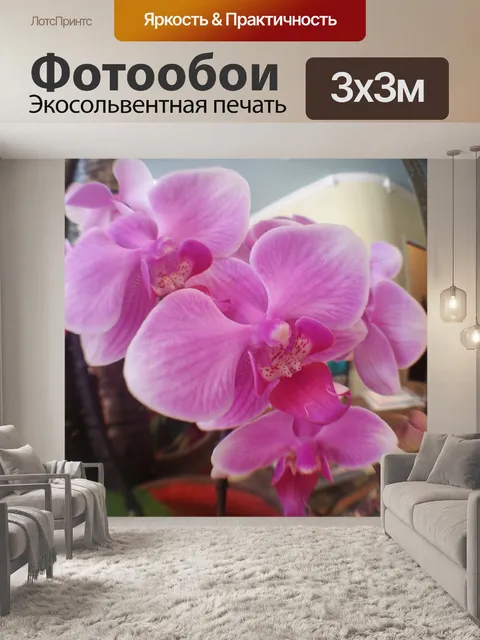 Фотообои Орхидеи крупным планом