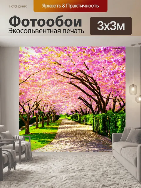 Фотообои утро: цветение вишни под нежными лучами утреннего солнца