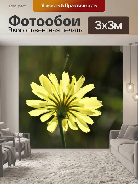 Фотообои Желтый Подсолнух и Боке с подсветкой