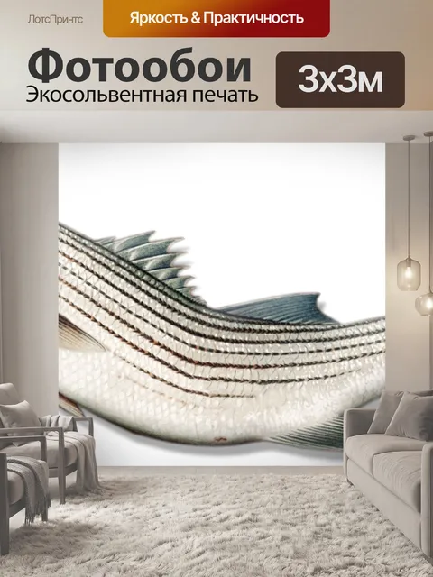 Фотообои Рыба-окунь