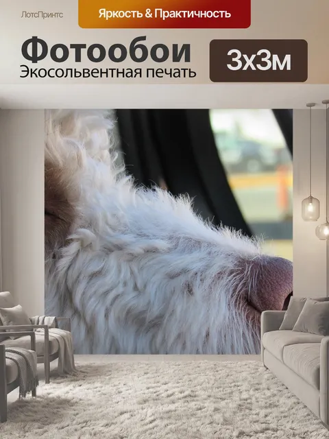 Фотообои Собака