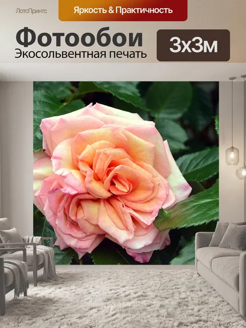 Фотообои Роза