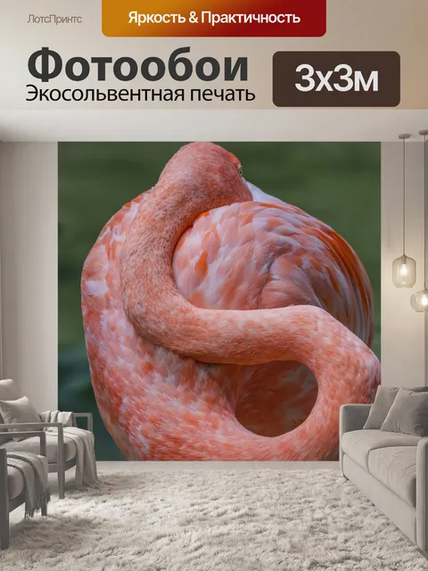 Фотообои розовый фламинго