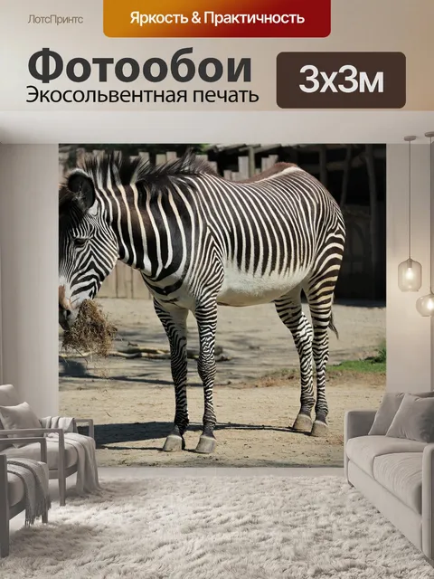 Фотообои Зебра