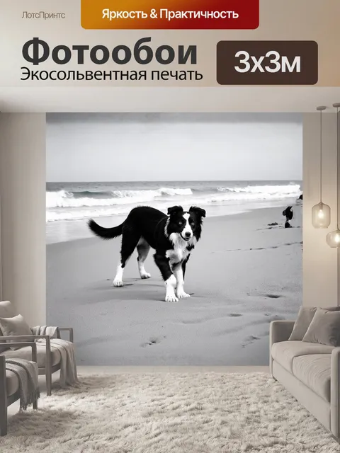 Фотообои минималистическое черно-белое изображение бордер колли