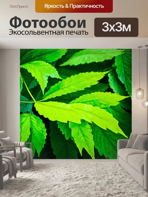 Фотообои зеленые в стиле акварель с близким планом листьев различных растений, в которых играют свет и тень