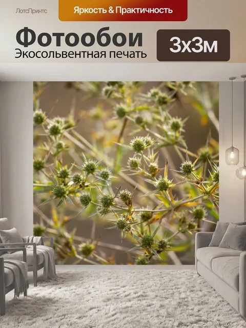 Фотообои Цветы