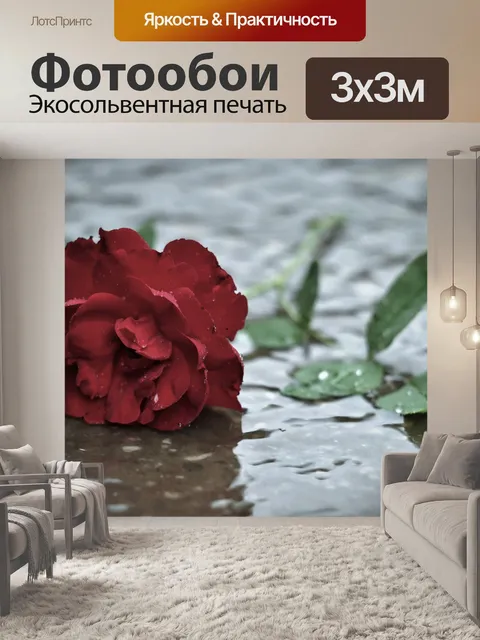 Фотообои Красная роза в дожде