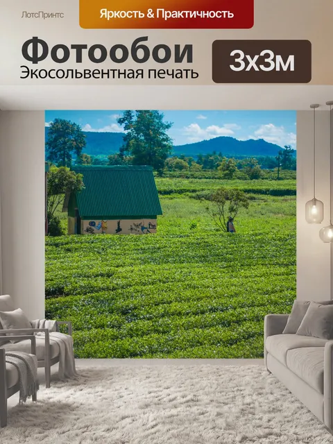 Фотообои Дом