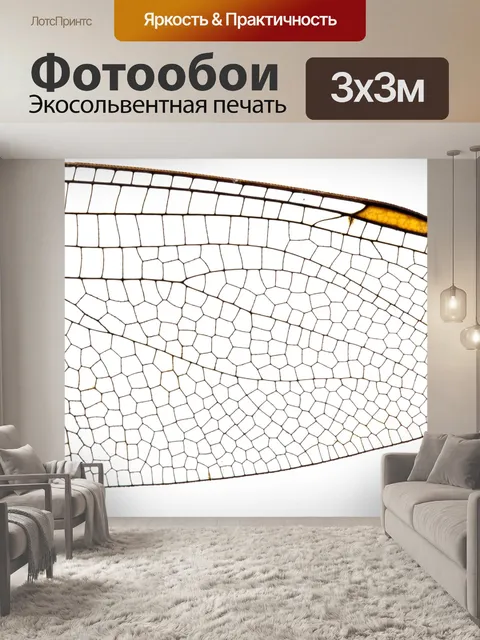 Фотообои Крыло насекомого структуры