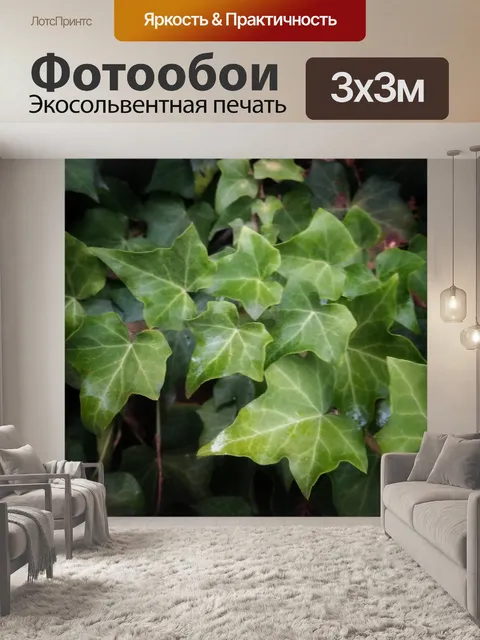 Фотообои Зеленые листья плюща