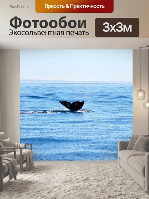 Фотообои Хвост кита