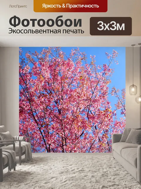 Фотообои Prunus cerasoides, дикая гималайская виш