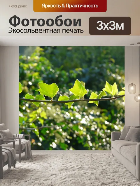 Фотообои Усик
