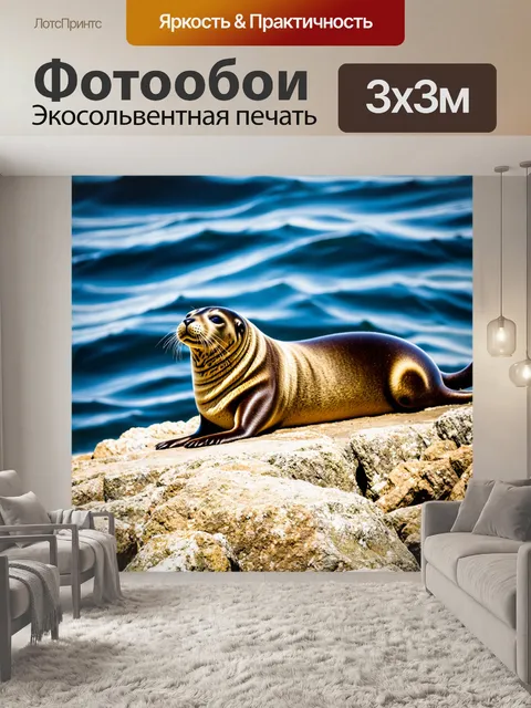 Фотообои тюлень, лениво загорающий на крыше скалы под теплым солнцем