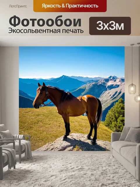 Фотообои лошадь, стоящая на вершине горы, с видом на обширную долину
