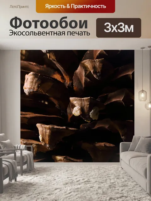 Фотообои близкий вид сосновой шишки с жевательной
